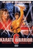 Karate Warrior 6