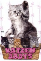 Katzenbabys