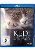 Kedi - Von Katzen und Menschen
