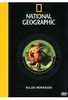 Killer-Hornissen - National Geographic