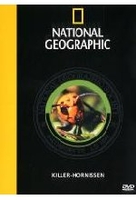 Killer-Hornissen - National Geographic