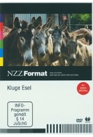 Kluge Esel - NZZ Format