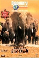 Königreich der Elefanten - Discovery Channel