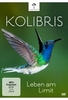 Kolibris - Leben am Limit