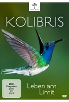 Kolibris - Leben am Limit