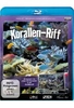 Korallen-Riff
