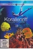 Korallenriff - Traumwelt des Meeres