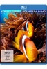 Korallenriff Aquarium in HD - Die Unterwasserwelt der Fidschis
