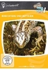 Kriechtiere und Reptilien