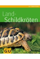 Landschildkröten