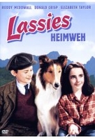 Lassies Heimweh