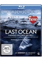 Last Ocean - Paradies am Ende der Welt
