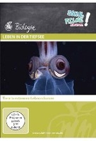 Leben in der Tiefsee