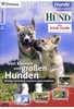 Liebe Tiere! - Hunde: Von kleinen u. großen Hund