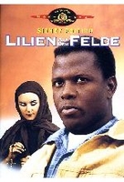 Lilien auf dem Felde