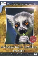 Madagaskar & Lemuren erleben