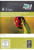 Marienkäfer und ihre Räuber-Beute-Beziehung zur Blattlaus