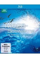 Megaschwärme - Die Macht der Masse