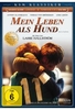 Mein Leben als Hund - KSM Klassiker