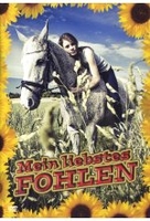 Mein liebstes Fohlen