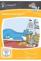 Menschliches Skelett