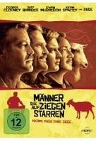 Männer,  die auf Ziegen starren