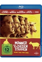 Männer,  die auf Ziegen starren