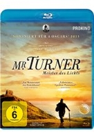 Mr. Turner - Meister des Lichts