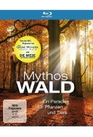 Mythos Wald