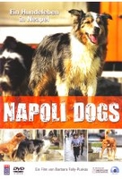 Napoli Dogs - Ein Hundeleben in Neapel