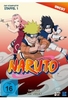 Naruto - Die komplette Staffel 1 - Uncut [3 DVDs]