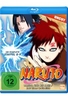 Naruto - Die komplette Staffel 8 & 9 - Uncut