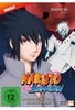 Naruto Shippuden - Das endlose Tsukuyomi - Die Beschwörung - Staffel 20.2: Folgen 642-651 - Uncut [2 DVDs]