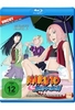 Naruto Shippuden - Staffel 11 - Uncut