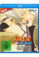 Naruto Shippuden - Staffel 15 - Box 1 - Uncut [2 BRs]