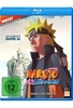 Naruto Shippuden - Staffel 24: Sasuke und Naruto (Folgen 690-699) [2 BRs]