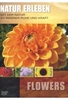 Natur erleben - Flowers