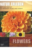 Natur erleben - Flowers
