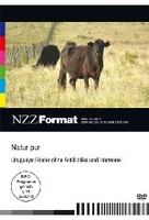 Natur pur - Uruguays Rinder ohne Antibiotika und Hormone - NZZ Format