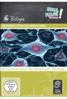 Nervensystem des Menschen