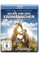 Neues von den Erdmännchen