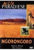 Ngorongoro - Afrikas Wiege des Lebens
