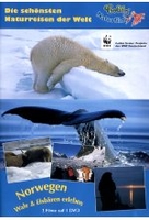 Norwegen Wale & Eisbären erleben