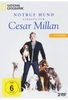 Notruf Hund - Einsatz für Cesar Millan - National Geographic/Staffel 2 [2 DVDs]