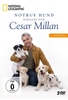 Notruf Hund - Einsatz für Cesar Millan - National Geographic/Staffel 3 [2 DVDs]