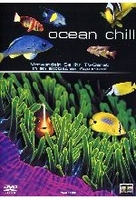 Ocean Chill