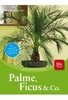 Palme,  Ficus & Co