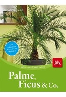 Palme,  Ficus & Co