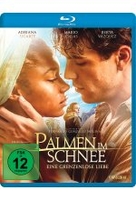 Palmen im Schnee - Eine grenzenlose Liebe