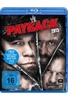 Payback 2013